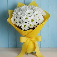 Букет цветов из:  Хризантемы в Ступино
