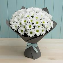 Букет цветов из:  Хризантемы #REPLACE_PRED# Ступино