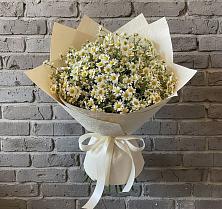 Букет цветов из:  Ромашки #REPLACE_PRED# Ступино