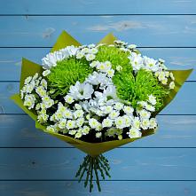 Букет цветов из:  Хризантемы в Ступино